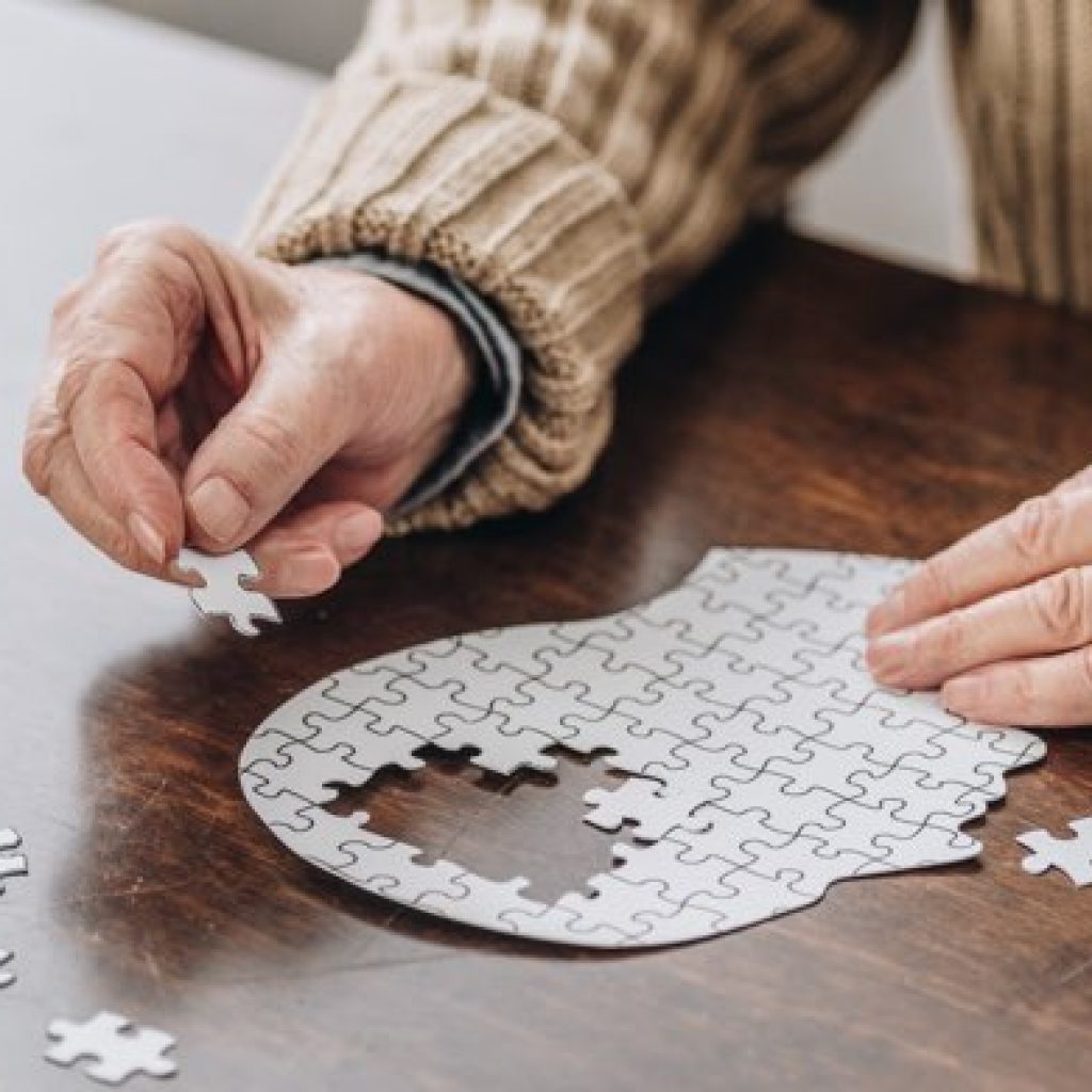 the puzzle of alzheimers